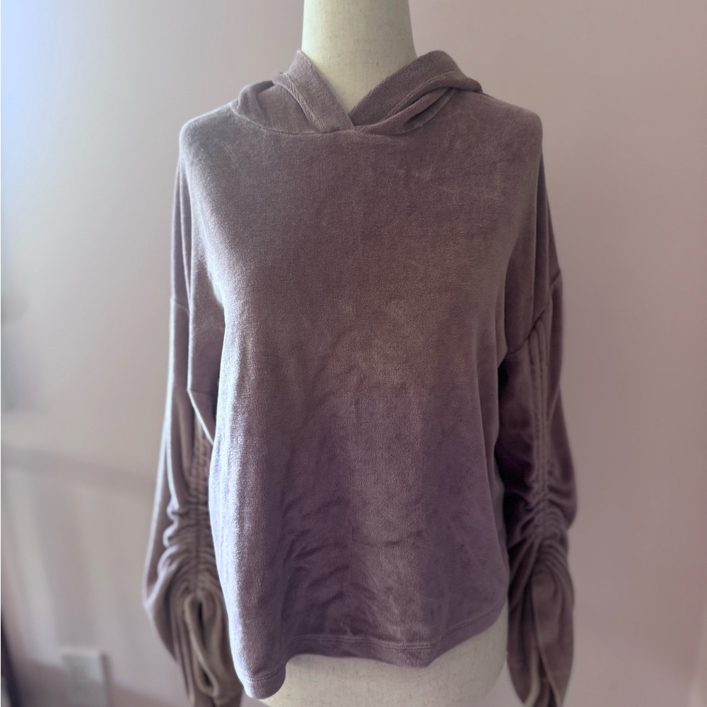 Express Lavender Velour Hoodie